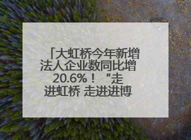 大虹桥今年新增法人企业数同比增20.6%！“走进虹桥 走进进博”活动举办