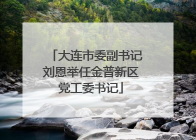 大连市委副书记刘恩举任金普新区党工委书记