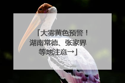 大雾黄色预警！湖南常德、张家界等地注意→