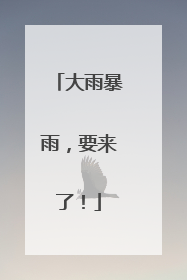 大雨暴雨，要来了！