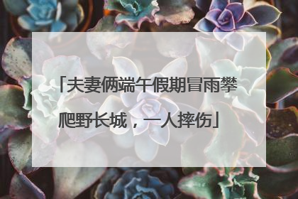 夫妻俩端午假期冒雨攀爬野长城，一人摔伤