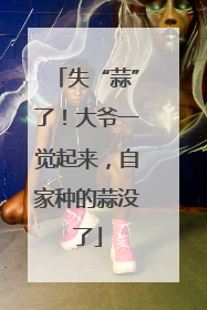 失“蒜”了！大爷一觉起来，自家种的蒜没了