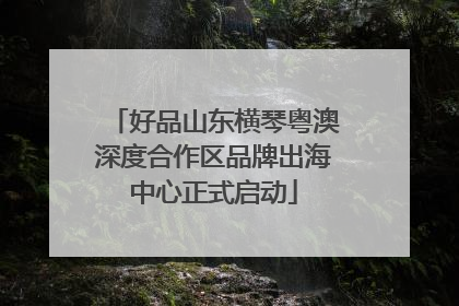 好品山东横琴粤澳深度合作区品牌出海中心正式启动
