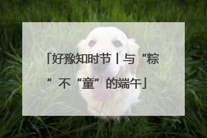 好豫知时节丨与“粽”不“童”的端午