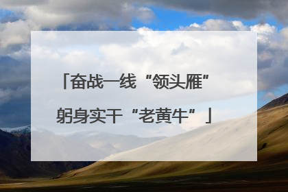 奋战一线“领头雁” 躬身实干“老黄牛”
