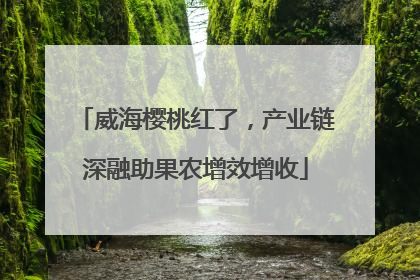 威海樱桃红了，产业链深融助果农增效增收