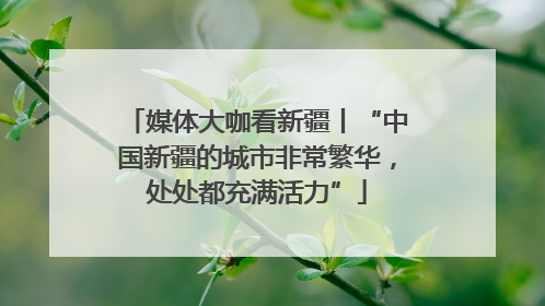 媒体大咖看新疆丨“中国新疆的城市非常繁华，处处都充满活力”