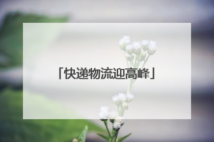 快递物流迎高峰