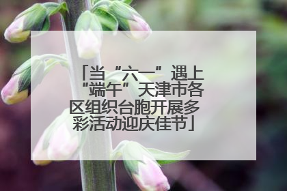 当“六一”遇上“端午”天津市各区组织台胞开展多彩活动迎庆佳节