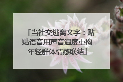 当社交逃离文字：贴贴语音用声音温度重构年轻群体情感联结