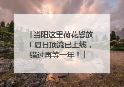 当阳这里荷花怒放！夏日顶流已上线，错过再等一年！
