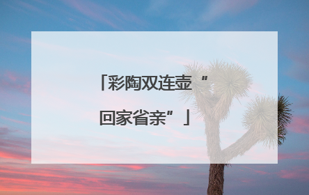 彩陶双连壶“回家省亲”