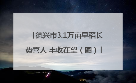 德兴市3.1万亩早稻长势喜人 丰收在望（图）