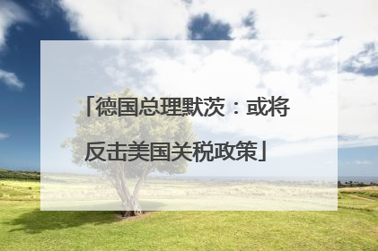 德国总理默茨：或将反击美国关税政策