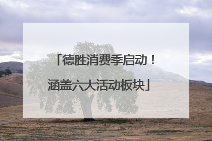 德胜消费季启动！涵盖六大活动板块