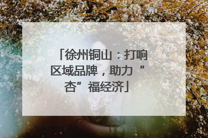 徐州铜山：打响区域品牌，助力“杏”福经济