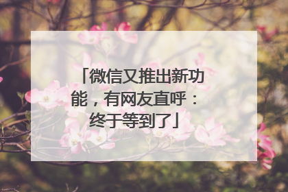 微信又推出新功能，有网友直呼：终于等到了