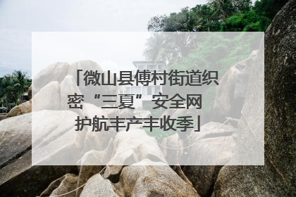 微山县傅村街道织密“三夏”安全网 护航丰产丰收季