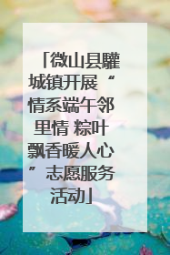微山县驩城镇开展“情系端午邻里情 粽叶飘香暖人心”志愿服务活动