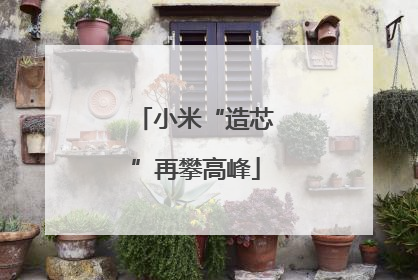 小米“造芯”再攀高峰