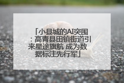 小县城的AI突围：高青县田镇街道引来星途旗航 成为数据标注先行军