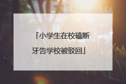 小学生在校磕断牙告学校被驳回