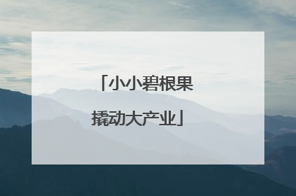 小小碧根果撬动大产业
