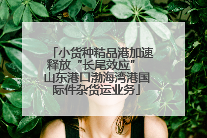 小货种精品港加速释放“长尾效应” 山东港口渤海湾港国际件杂货运业务