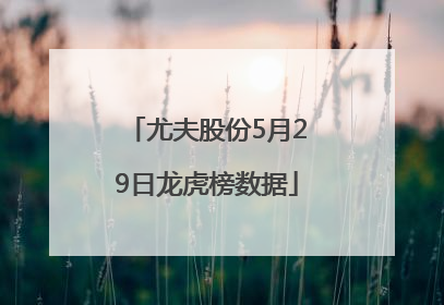 尤夫股份5月29日龙虎榜数据