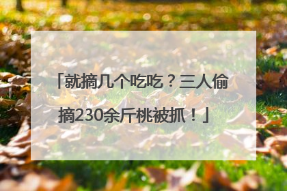 就摘几个吃吃？三人偷摘230余斤桃被抓！