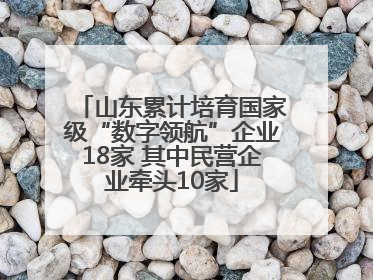 山东累计培育国家级“数字领航”企业18家 其中民营企业牵头10家