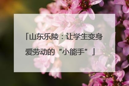 山东乐陵：让学生变身爱劳动的“小能手”