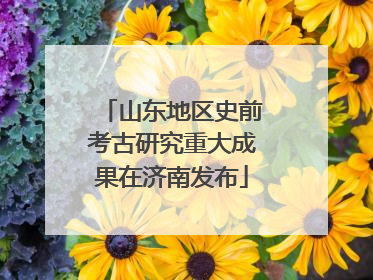 山东地区史前考古研究重大成果在济南发布
