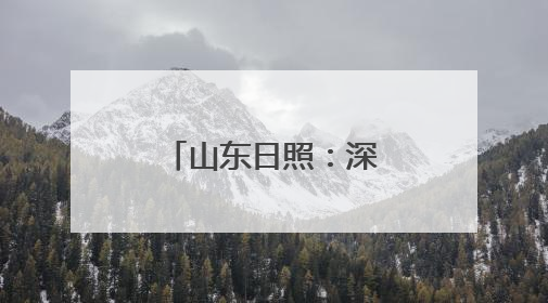 山东日照：深入推进港产城高质量融合发展