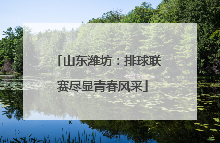 山东潍坊：排球联赛尽显青春风采