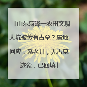 山东菏泽一农田突现大坑被传有古墓？属地回应：系老井，无古墓迹象，已回填