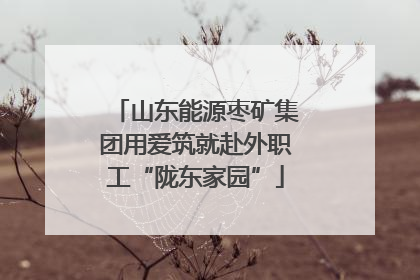 山东能源枣矿集团用爱筑就赴外职工“陇东家园”
