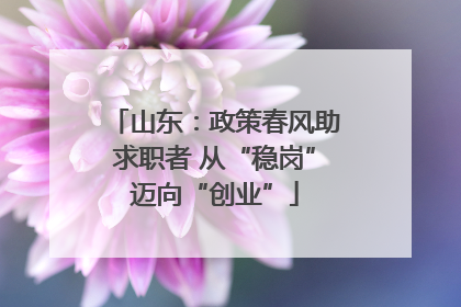 山东：政策春风助求职者 从“稳岗”迈向“创业”