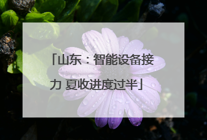 山东：智能设备接力 夏收进度过半