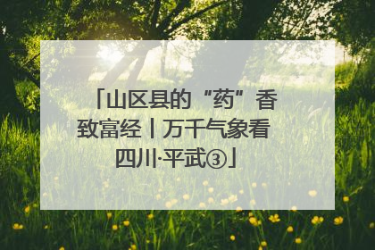 山区县的“药”香致富经丨万千气象看四川·平武③