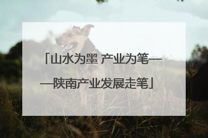 山水为墨 产业为笔——陕南产业发展走笔
