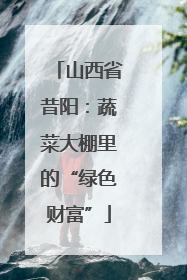 山西省昔阳：蔬菜大棚里的“绿色财富”