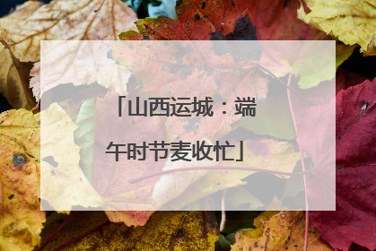 山西运城：端午时节麦收忙