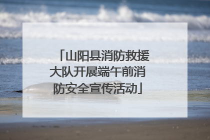 山阳县消防救援大队开展端午前消防安全宣传活动