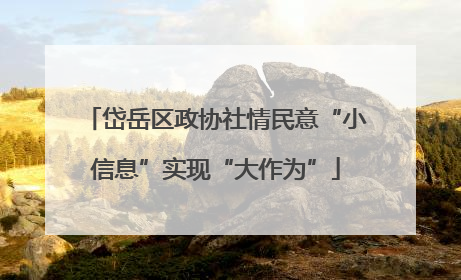 岱岳区政协社情民意“小信息”实现“大作为”