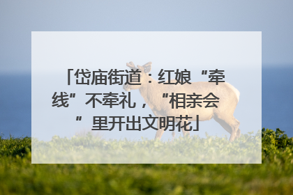 岱庙街道：红娘“牵线”不牵礼，“相亲会”里开出文明花