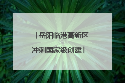 岳阳临港高新区冲刺国家级创建