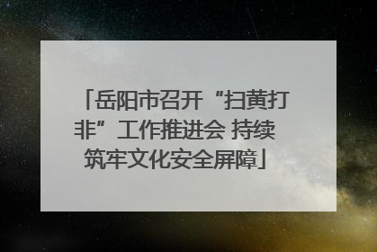 岳阳市召开“扫黄打非”工作推进会 持续筑牢文化安全屏障