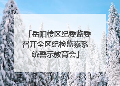 岳阳楼区纪委监委召开全区纪检监察系统警示教育会