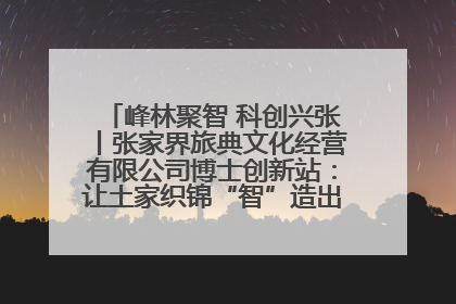 峰林聚智 科创兴张丨张家界旅典文化经营有限公司博士创新站：让土家织锦“智”造出非遗新传奇